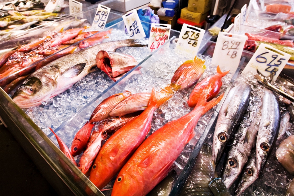ERNÄHRUNG UND GESUNDHEIT 5 Superfood für gesunde Superkräfte / MEERESFISCHE – DER STRUKTURBILDENDEN PROTEINQUELLEN Meeresfische sind sehr reichhaltig an gesunden Fetten und enthalten wichtige Proteine und Aminosäuren. © stefandrexl.com