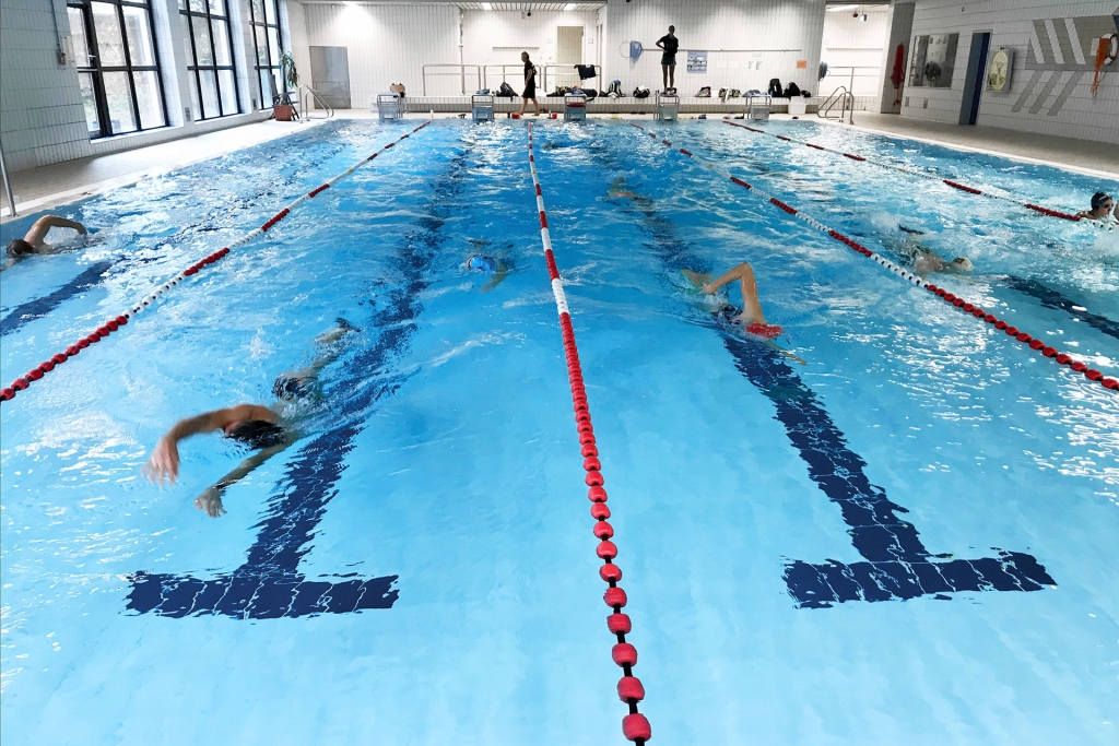 SWIMINAR Besser richtig Kraulschwimmen – Schwimmenseminar mit Videoanalyse für eine bessere Kraultechnik © SUGAR & PAIN, Stefan Drexl